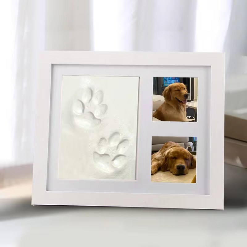 PawMemoir™ — DIY Pawprint Keepsake Frame