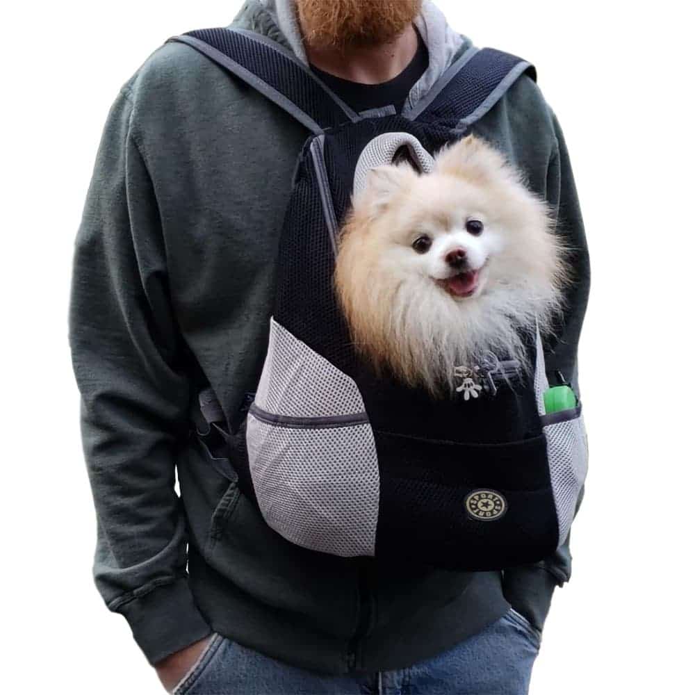 Sport Pup Backpack Carrier - Black front view