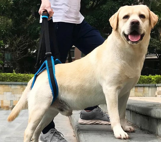StepEase adjustable dog leg support brace