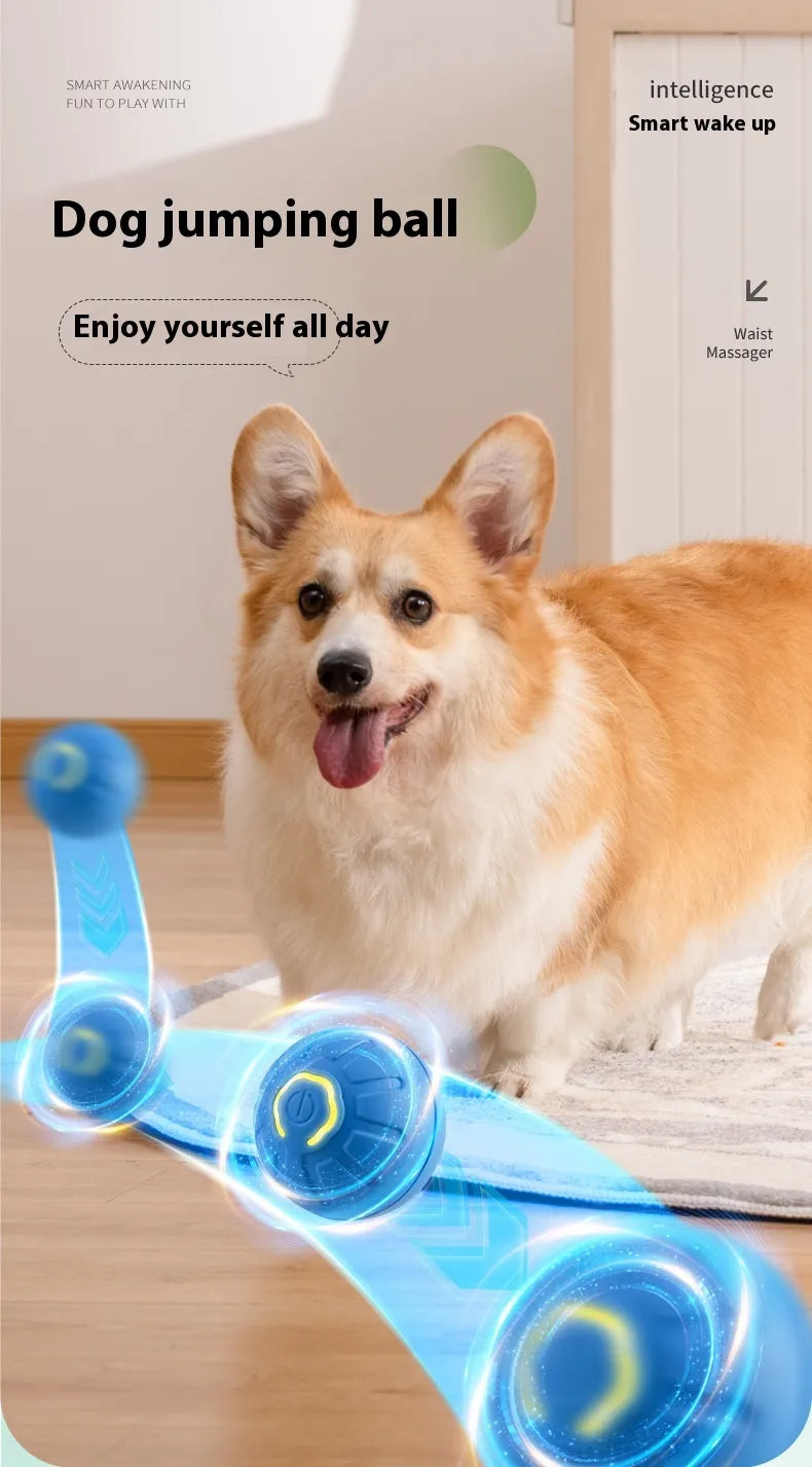 BounceBot™ — Smart Auto-Rolling Dog Toy Ball