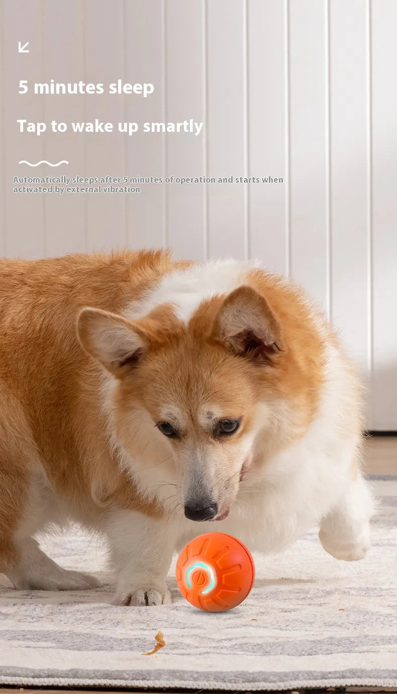 BounceBot™ — Smart Auto-Rolling Dog Toy Ball