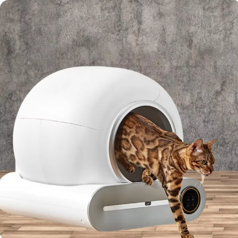 CleanCycle automatic self-cleaning cat litter box