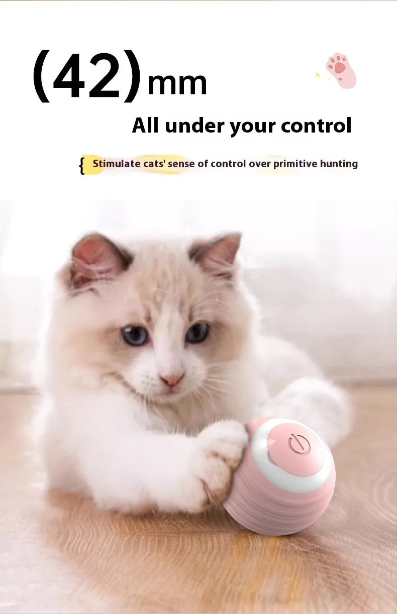 BounceBot™ — Smart Auto-Rolling Dog Toy Ball