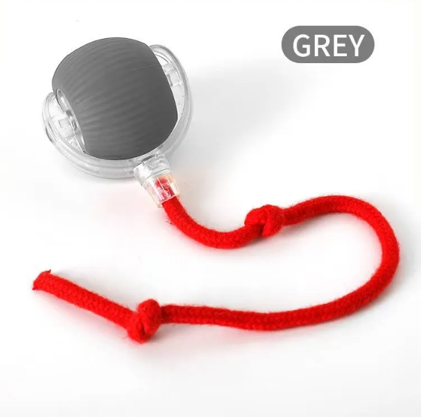 PurrPlay™ — Self-Rolling Interactive Cat Ball