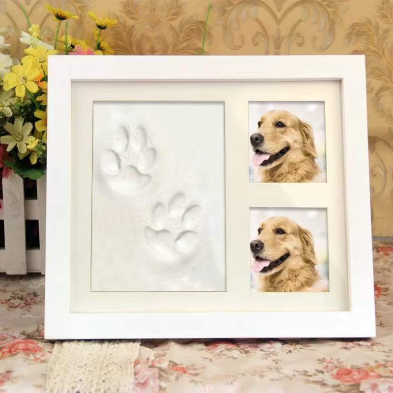 PawMemoir DIY pawprint keepsake frame for pets